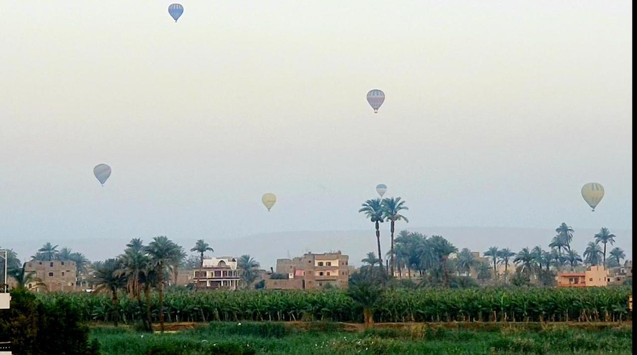 Luxor Guest House Eksteriør billede
